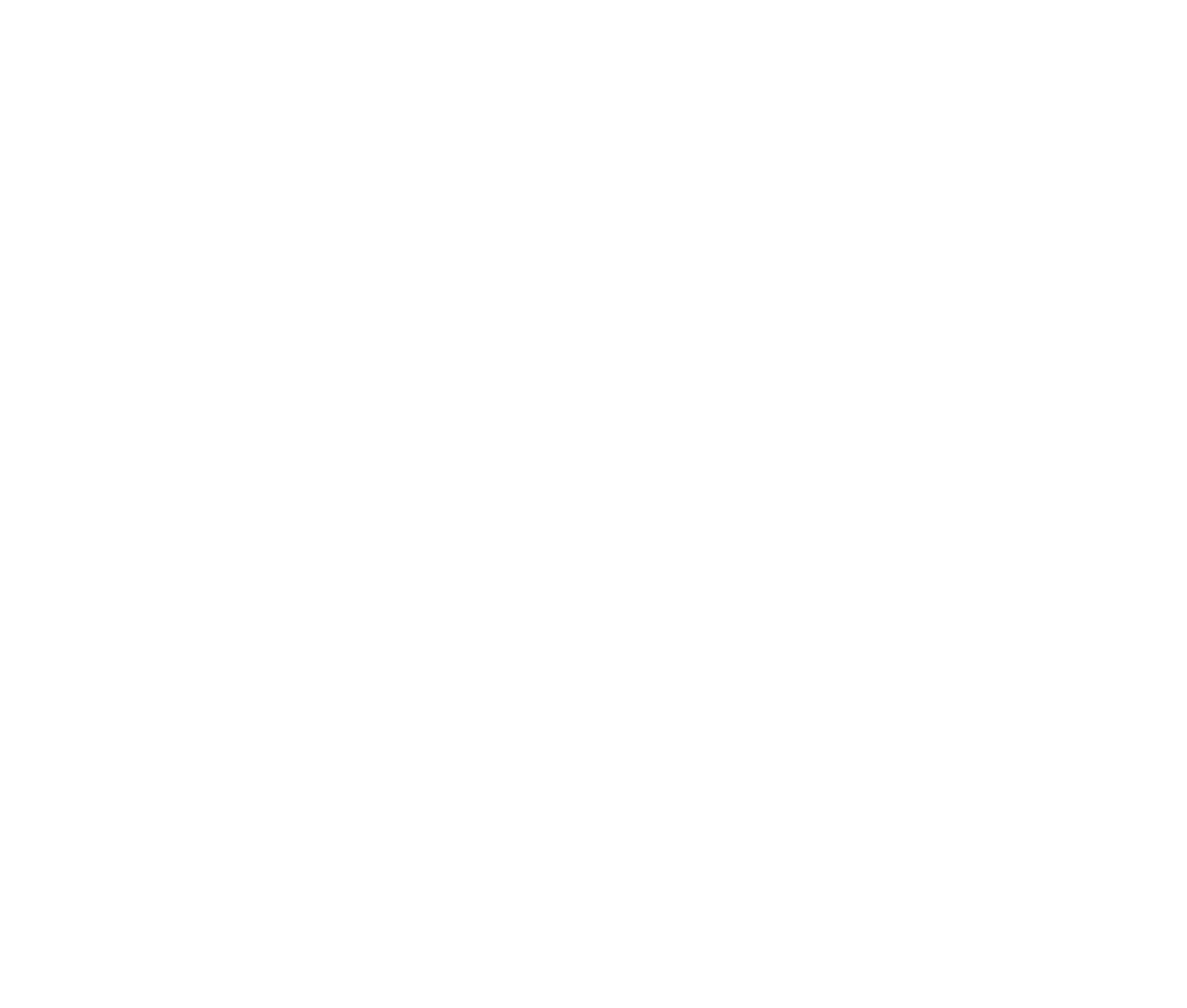 Dr BERQUET